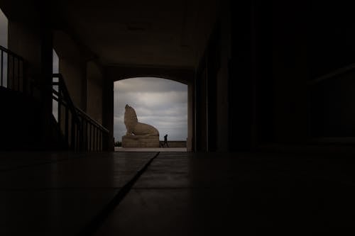 Sea Lion Statue at the End of a Dark Hallway 