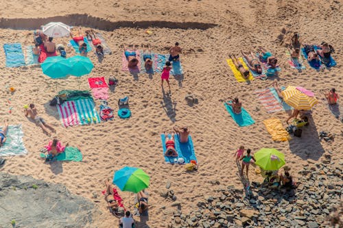 An Aerial Shot of People Spending Time at the Beach