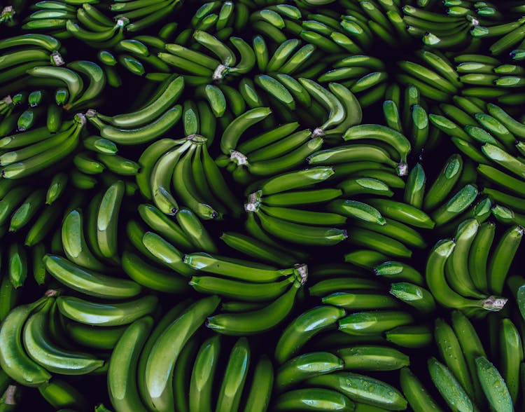 Bunch Of Green Bananas