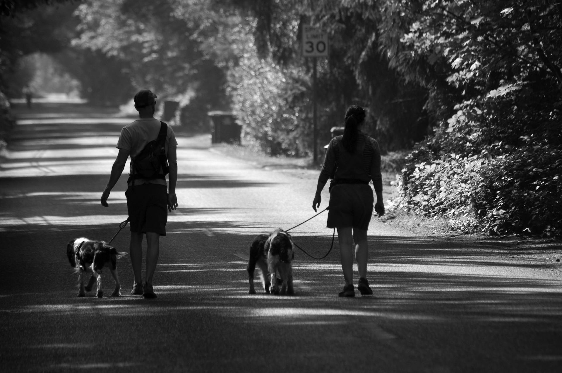 Un couple promène son chien