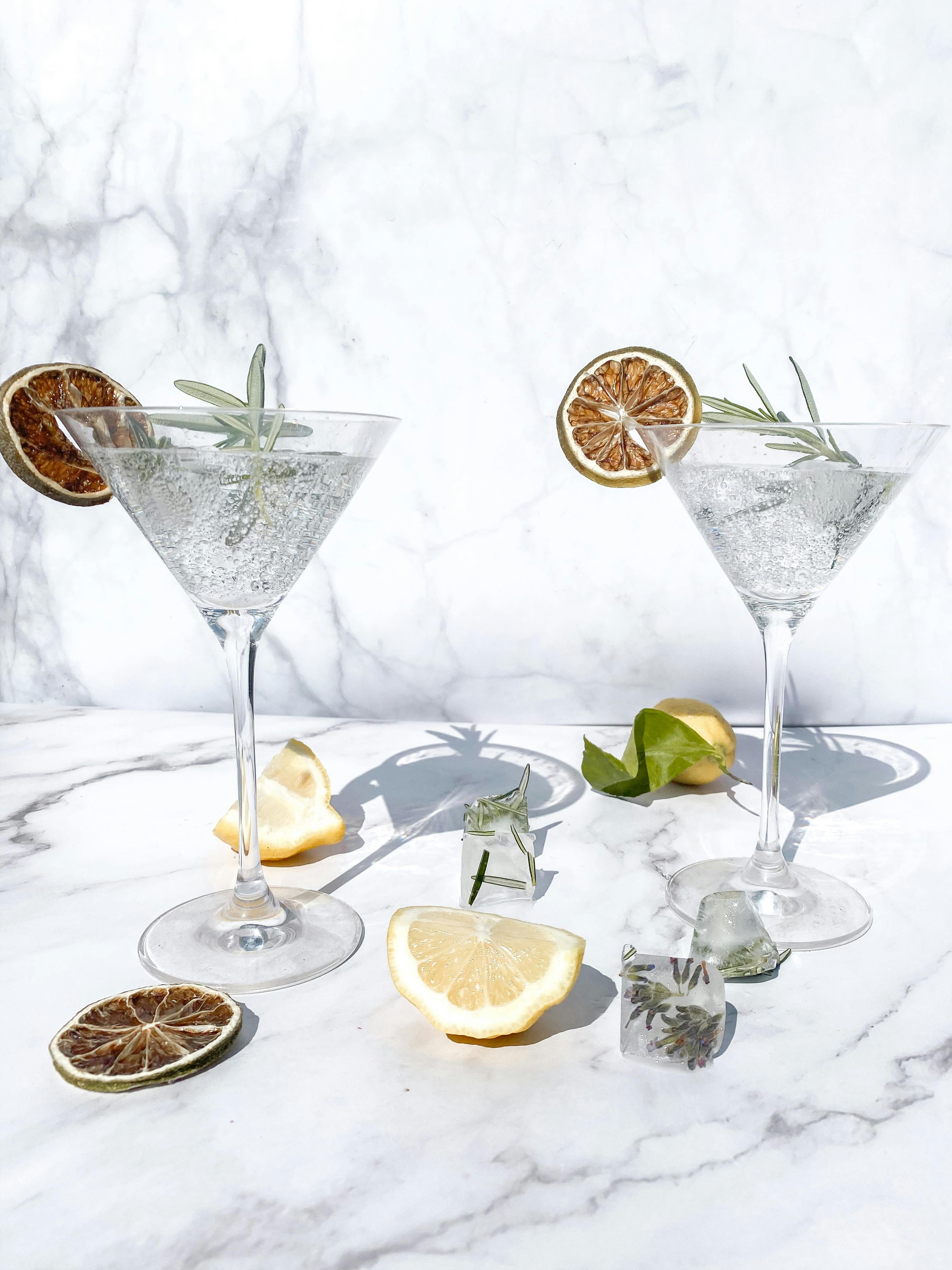 Cocktails in Martini Glasses Decorated with Dried Lemon · Free Stock Photo