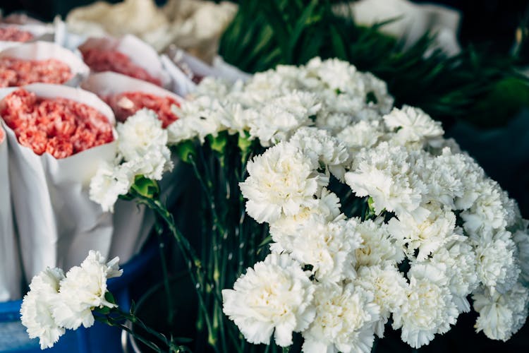 A Bunch Of White Flowers