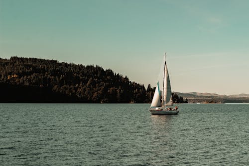 Sail Boat on the Lake near the Land