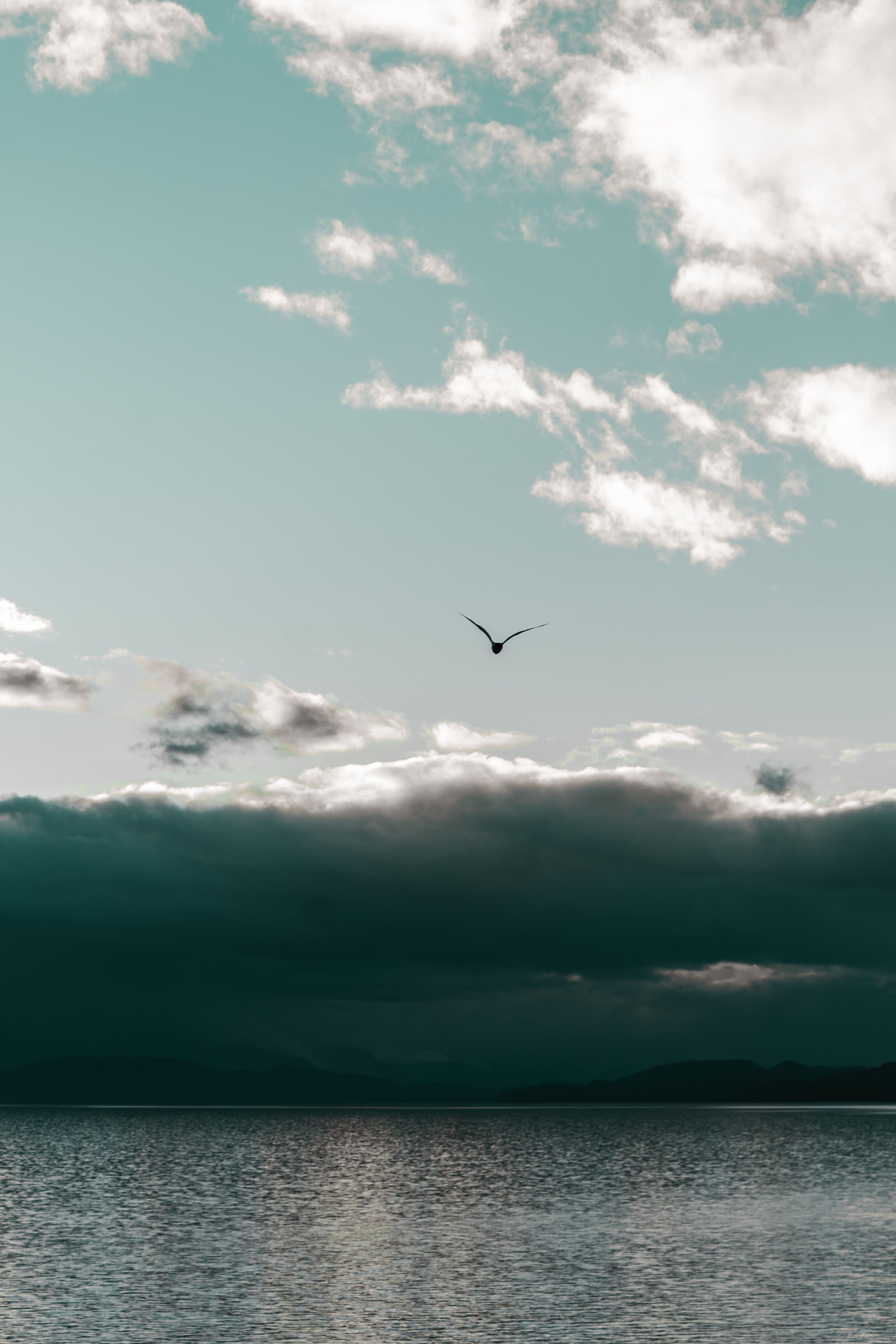 A solitary bird gracefully flying above a lake in San Carlos de Bariloche, framed by dramatic clouds.