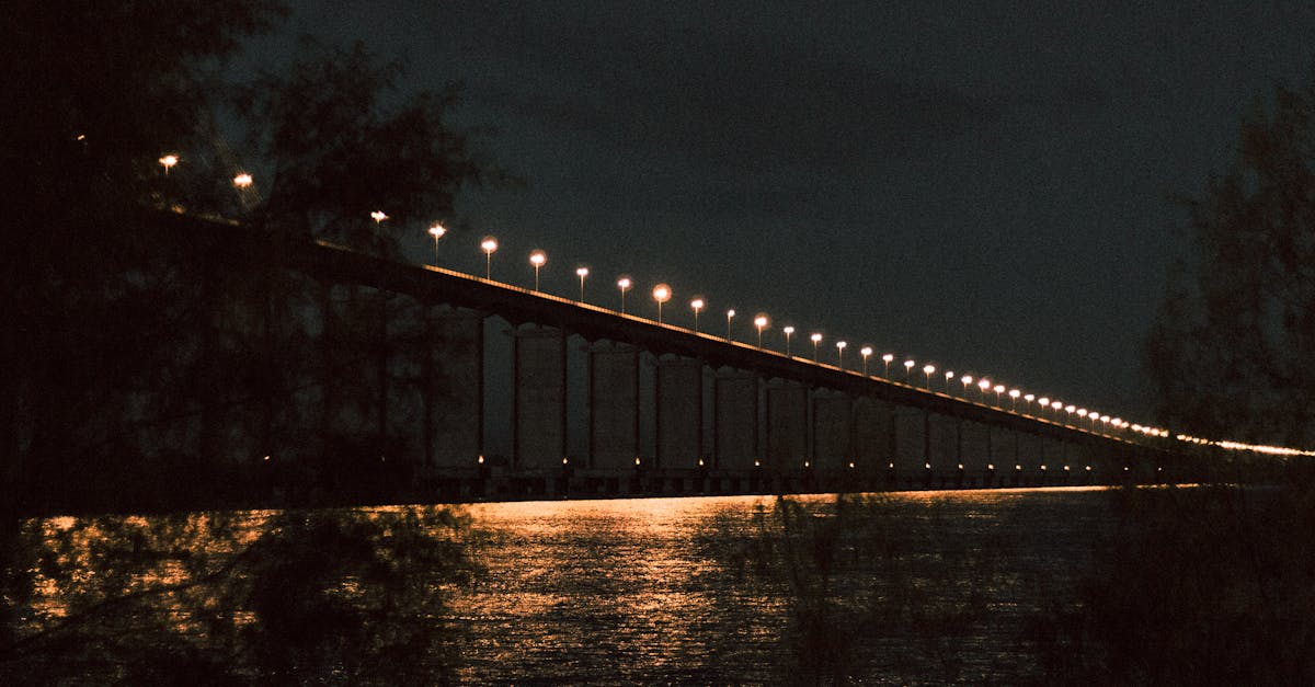 Illuminated Rosario-Victoria Bridge spanning over Paraná River at night.