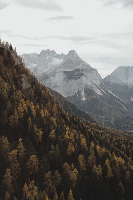 Stunning aerial view of the Austrian Alps with fall foliage, showcasing rugged mountains and dense forests.