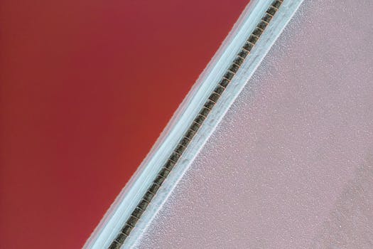 sea salt image 3