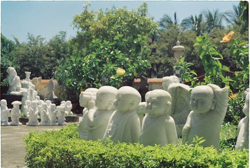 Бесплатное стоковое фото с белые скульптуры, Буддизм, заводы