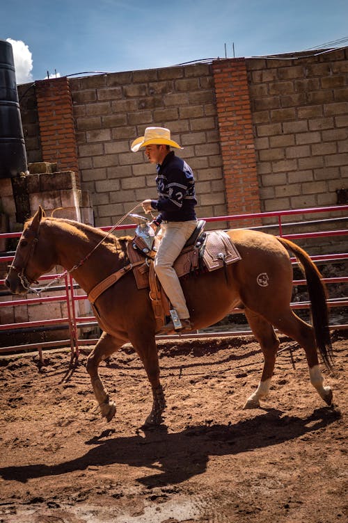 A Cowboy Riding a Brown Horse