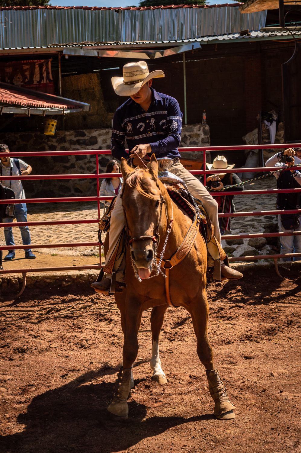 A Cowboy Riding a Brown Horse · Free Stock Photo