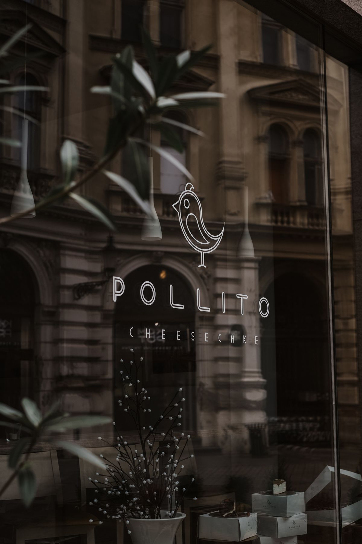 Pollitos Photos, Download The BEST Free Pollitos Stock Photos & HD Images