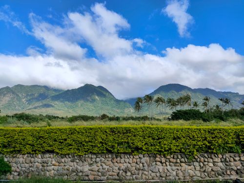 Free A breathtaking view of mountains with palm trees and blue skies, capturing nature's tranquility. Stock Photo