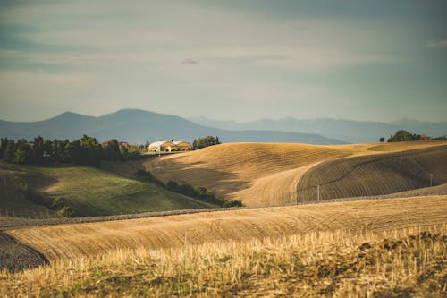 Foto profissional grátis de agricultura, áreas, árvores