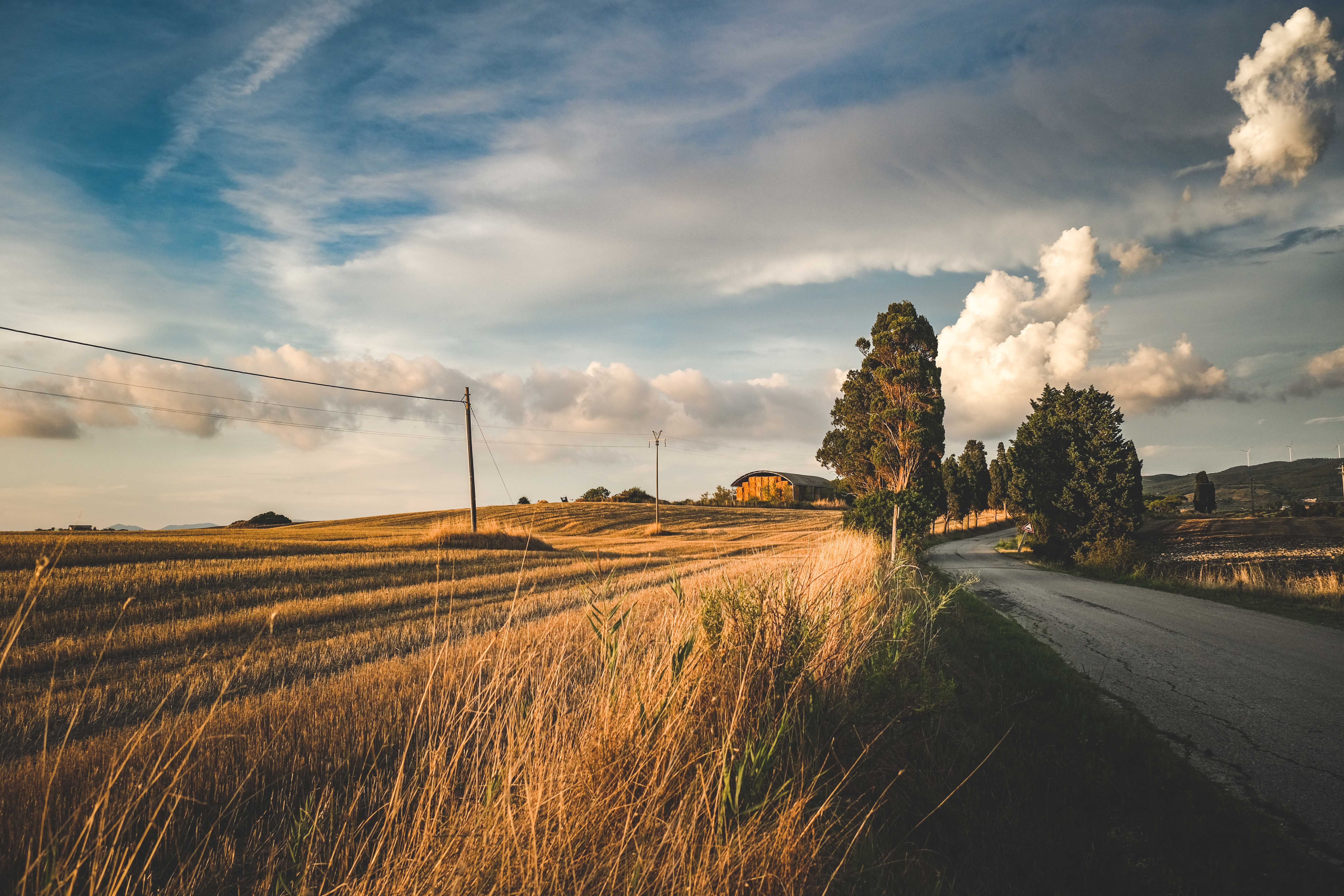 A picturesque rural road winds through golden fields under a dramatic sky.