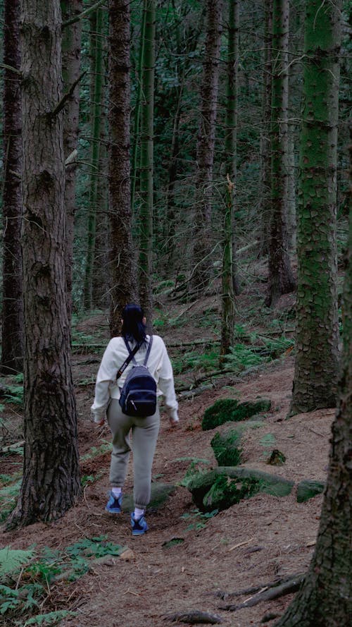 Back View of a Woman Walking Alone in a Forest