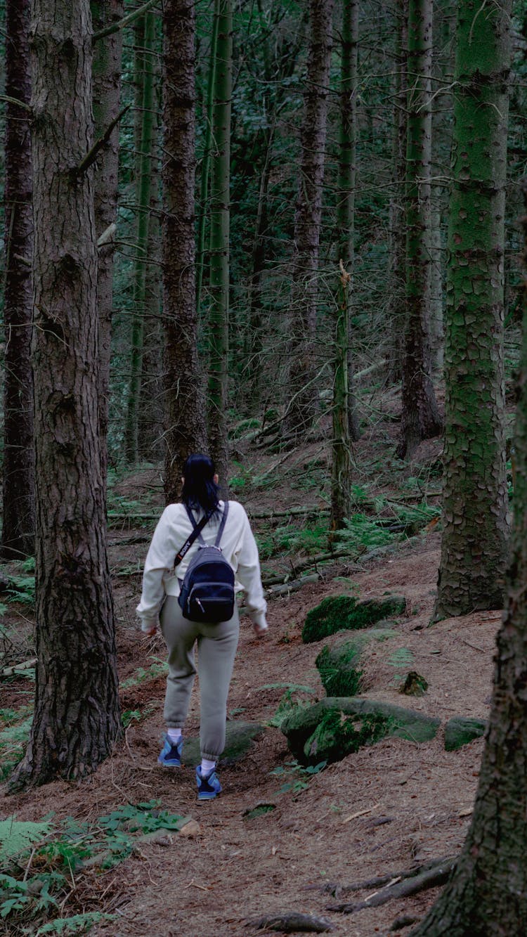 Back View Of A Woman Walking Alone In A Forest