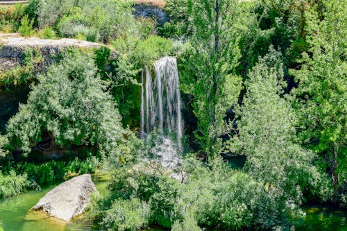 Безкоштовне стокове фото на тему «водоспади, дерева, дощовий ліс»