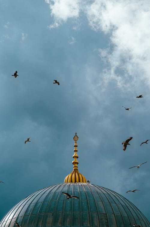 Birds Flying over Mosque Dome