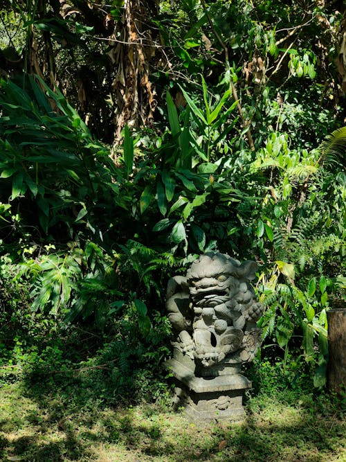 Ilmainen kuvapankkikuva tunnisteilla kasvit, patsas, puutarha Kuvapankkikuva