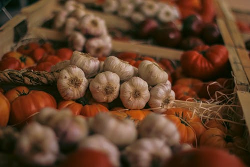 Garlic and Tomatoes in Close Up Photography