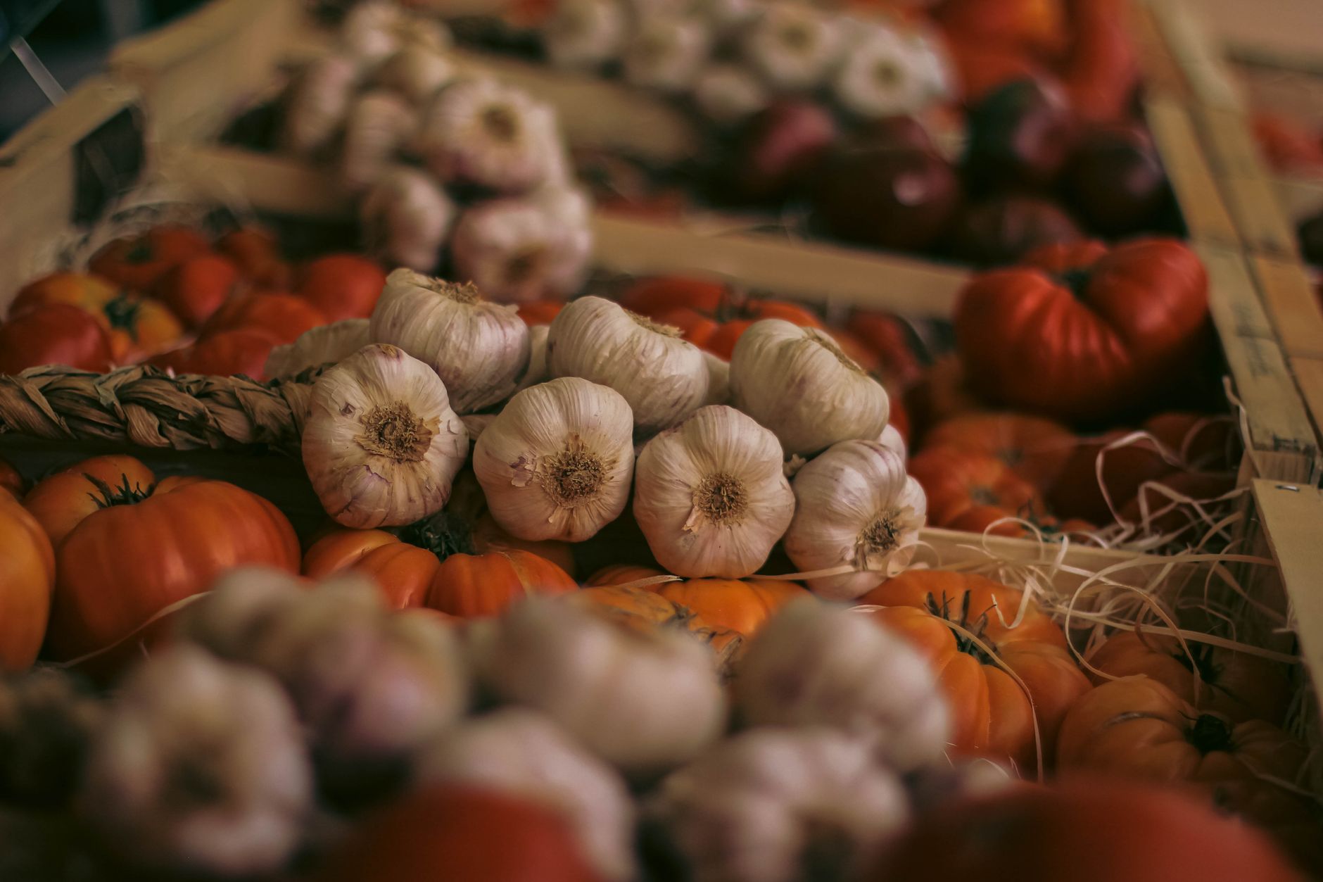 Windermere Farmers Market at Town Square Park
