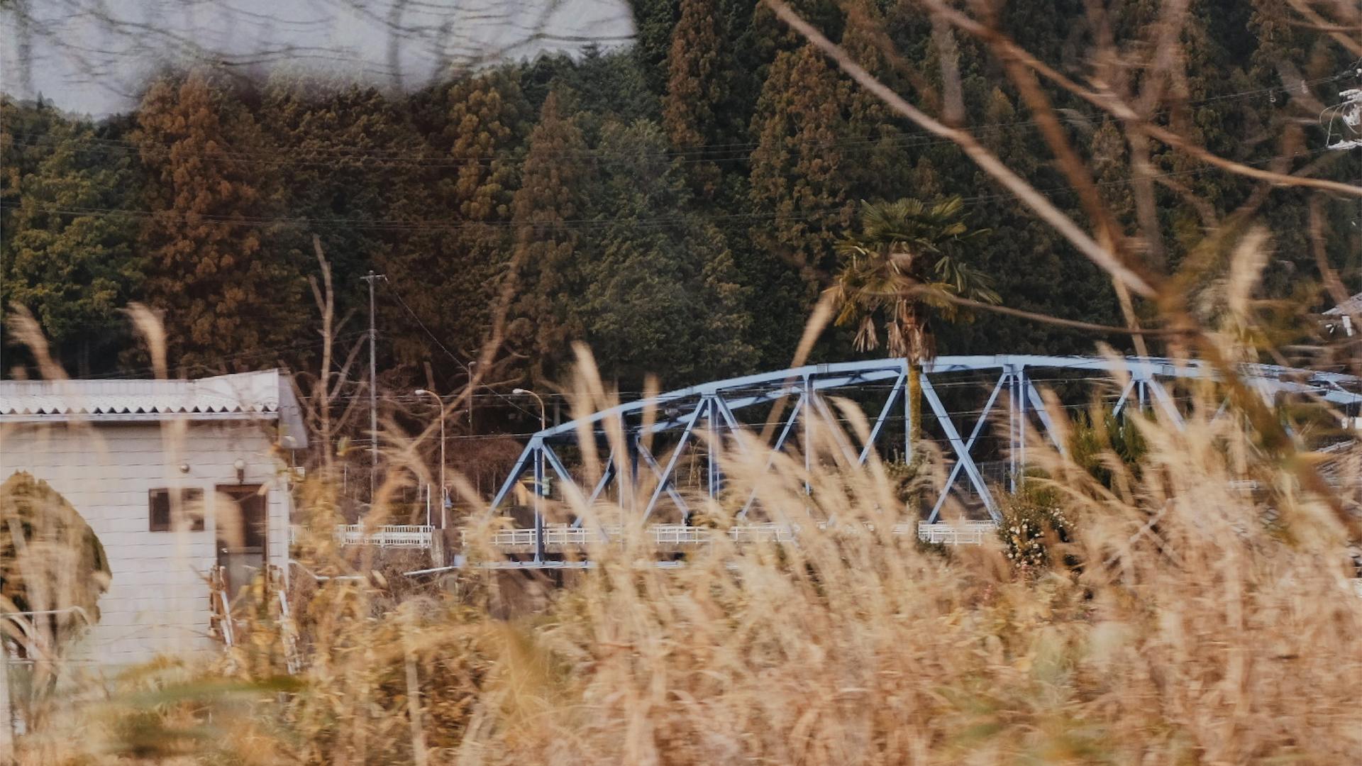 A scenic view of a blue bridge amidst forested hills and wild grass in Osaka, Japan.