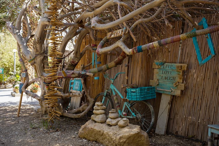 Bicycle Leaning On Bamboo Fence