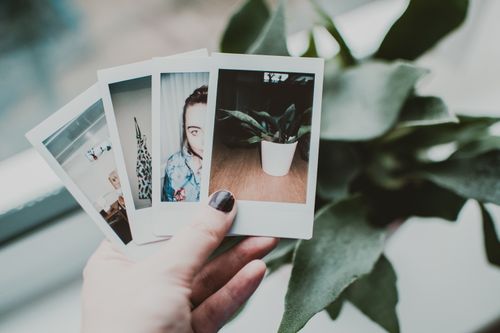 Free A close-up of a hand holding polaroid photos next to a plant, indoors. Stock Photo