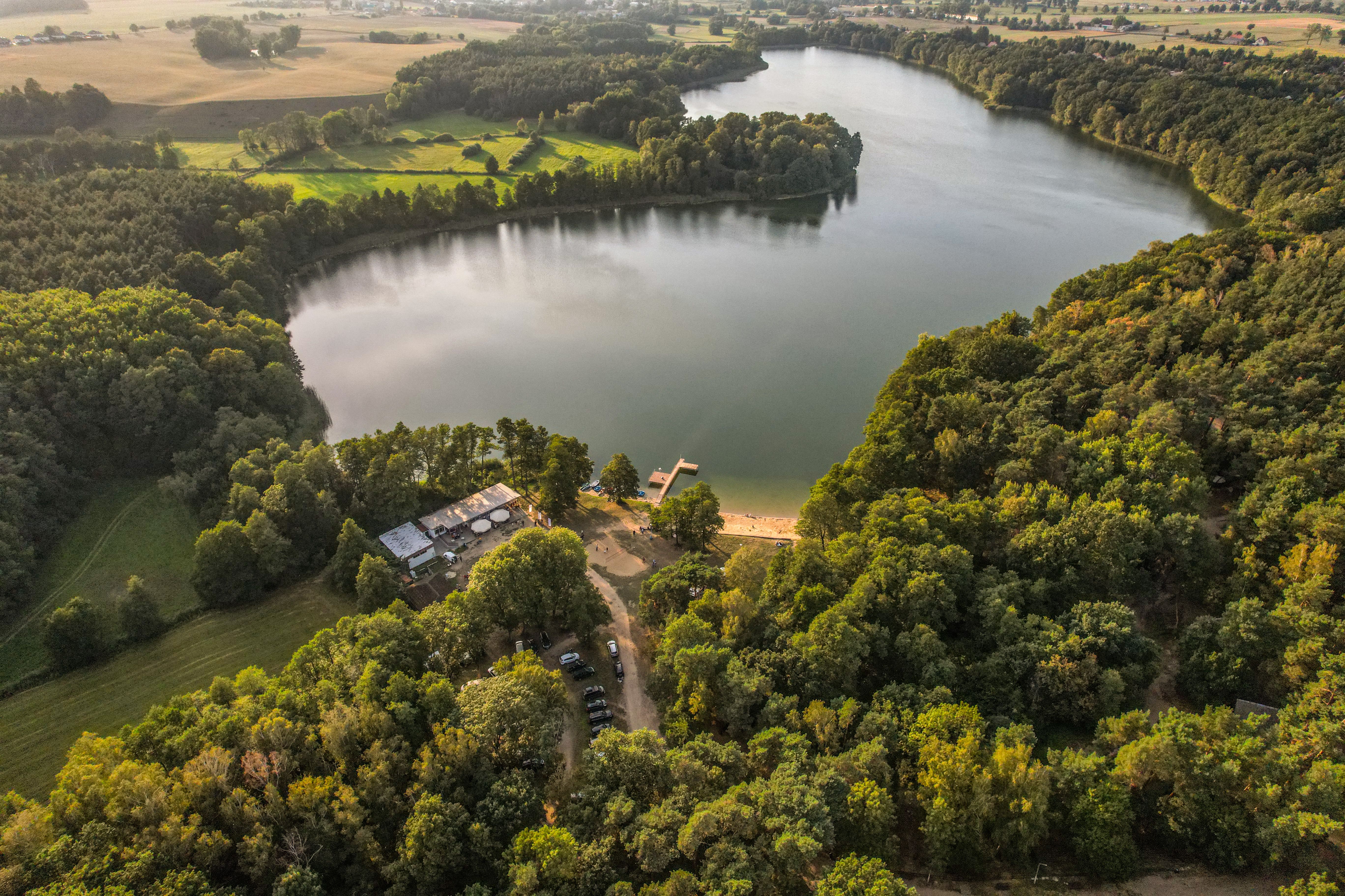 Aerial View of Green Trees and Lake · Free Stock Photo