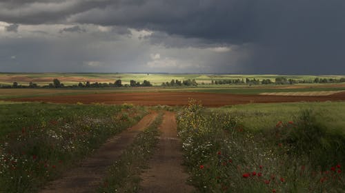 A Dirt Road on the Countryside