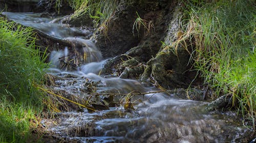 ฟรี คลังภาพถ่ายฟรี ของ กระแสน้ำ, ตะไคร่น้ำ, ธรรมชาติ คลังภาพถ่าย