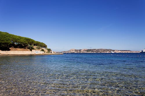 Clear Blue Sky over Sea