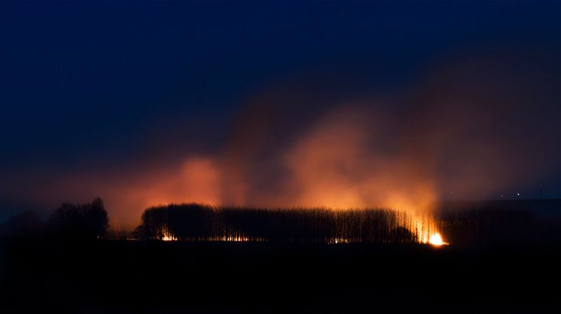 A forest fire burning against a dark night sky — photo by Francisco Fernandez on Pexels