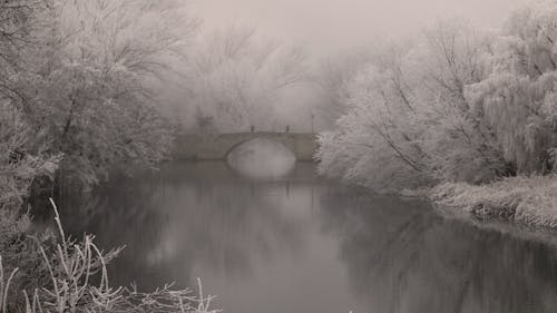 Fotobanka s bezplatnými fotkami na tému chladný, most, pokojný