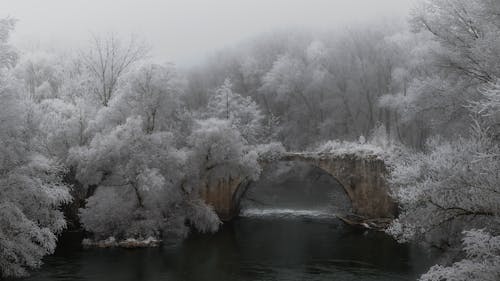 Fotobanka s bezplatnými fotkami na tému chladný, most, rieka