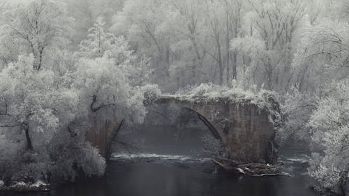 A Concrete Bridge Surrounded by Snow Covered Trees 