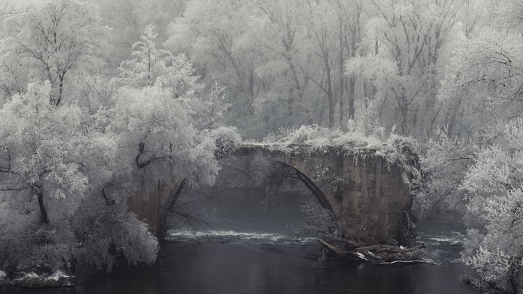 A Concrete Bridge Surrounded By Snow Covered Trees 