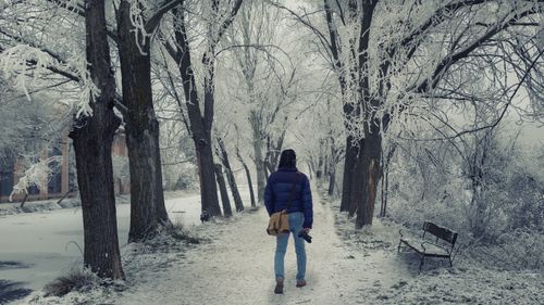 Free A solitary figure in a puffer jacket walks down a snow-covered path lined with frosty trees. Stock Photo