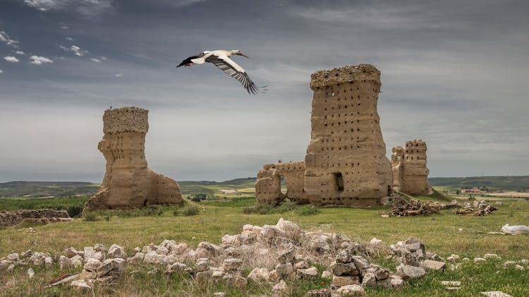 Ruined Castle Of Palenzuela, Spain