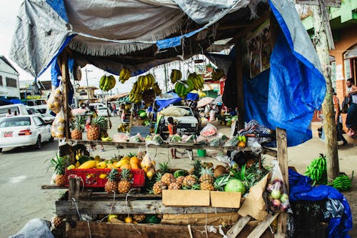 Piñas Y Plátanos