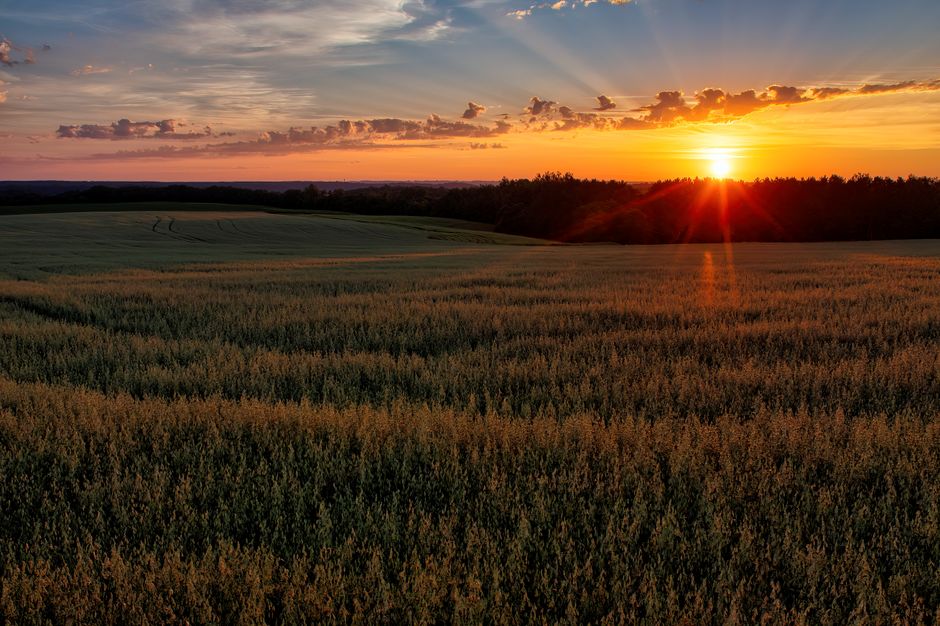 Green Valley Farms
