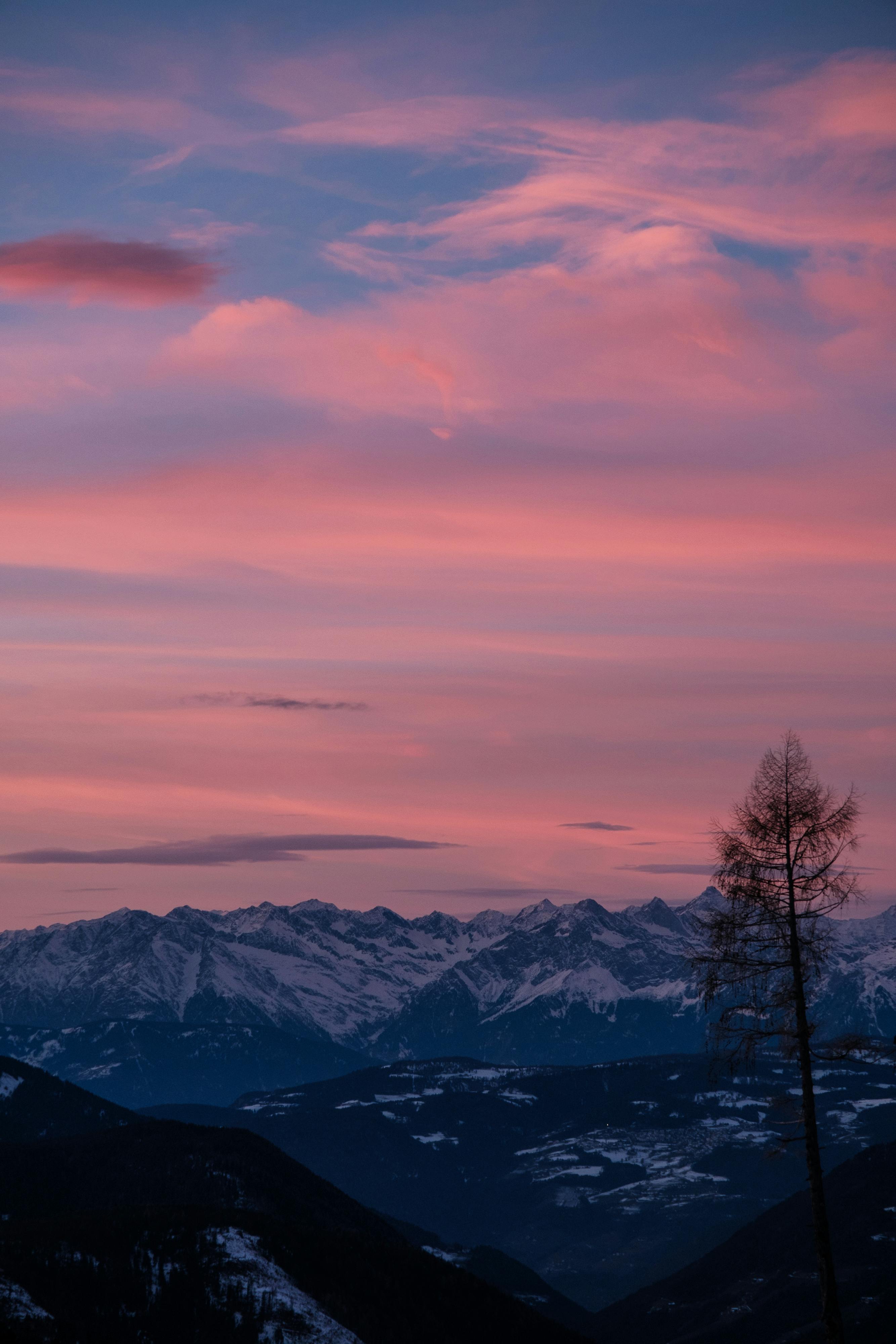 Scenic view of mountains at sunset with a vibrant pink sky and lone tree.