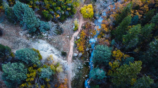A scenic aerial view showcasing colorful autumn trees, a winding creek, and a nature trail.