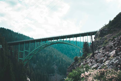 Fotografi Selektif Jembatan B