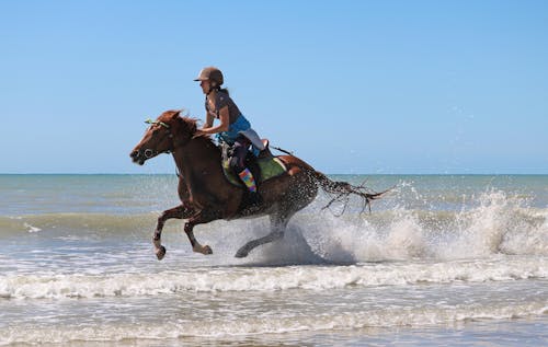 Horse Galloping on Shore