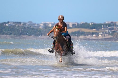 Free A woman rides a horse through ocean waves on Granville beach, Normandie, France. Stock Photo