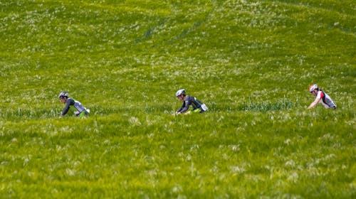 Men Biking Between Grass Fields