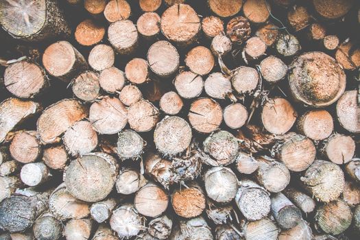 A large pile of stacked logs of chopped firewood, perfect for a rustic natural ambiance.
