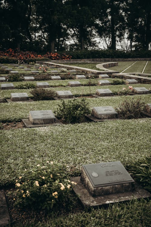 Foto d'estoc gratuïta de cementiri, làpides, parc memorial