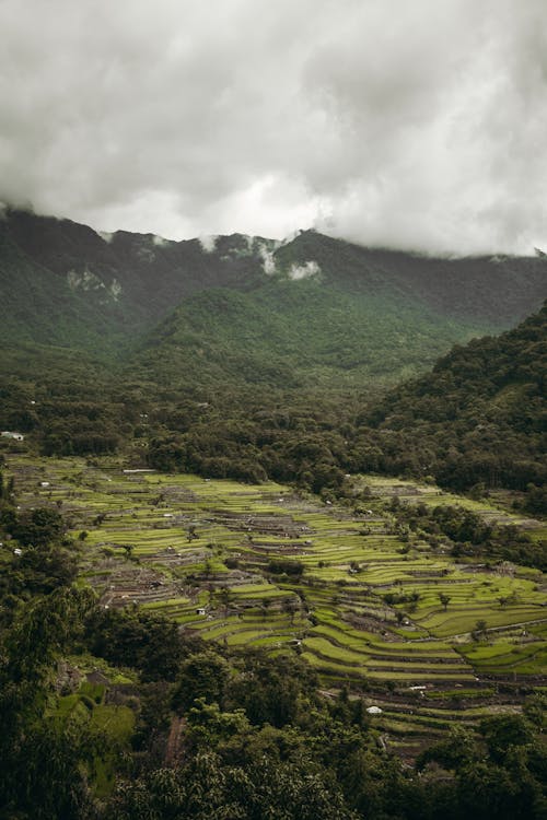 Aerial View of Rice Terraces Under Cloudy Sky